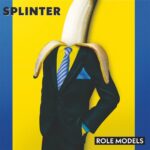 Splinter_RoleModel